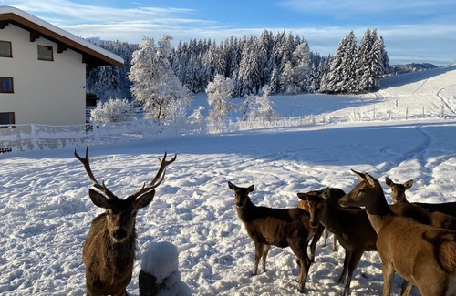 Sankt Johann in Tirol House | Discover Berghof Haselsberger: Family-Friendly Retreat