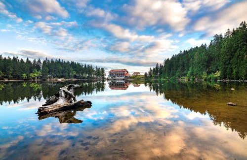 Seebach Hotel | Discover Berghotel Mummelsee: Family-Friendly Retreat