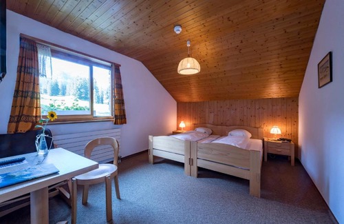 Alt Sankt Johann Hotel | Explore Berghotel Sellamatt: Family-Friendly & Pet Welcoming