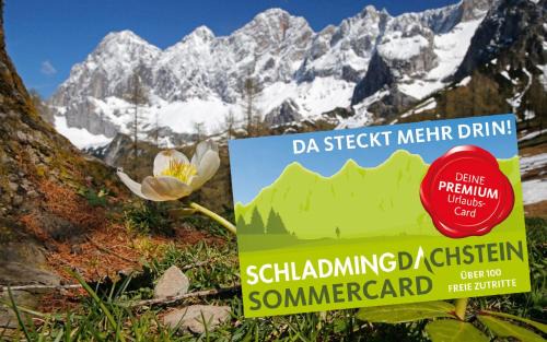 Ramsau am Dachstein Apartment | Cozy Bergidyll Top 1 Garden Apartment with Kitchen Amenities