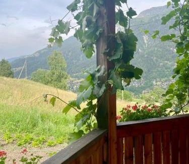 Ernen Hotel | Discover BerglandHof Hotel Ernen: Pet-Friendly & Highly Rated