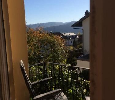 Gengenbach Apartment | Discover Bergleblick: Family and Pet-Friendly Getaway