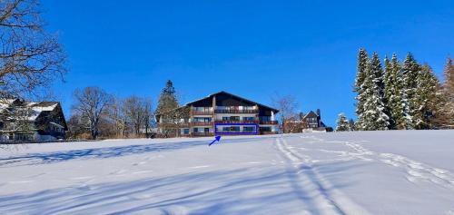 Hahnenklee Apartment | Experience Bergliebe: 5-Star Oceanfront Family Retreat