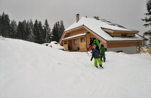 Wolfsberg House | Discover Bergliebe Klippitztörl: Pet-Friendly Oceanfront Retreat