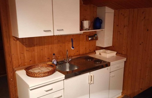 Bachenbrock House | Bergner "s log cabin