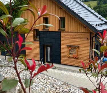 Breitenbrunn/Erzgeb. House | Discover BergNest Ferienhäuser: Family-Friendly Getaway
