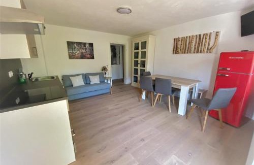 Jungholz Apartment | Discover Bergquell Tirol: Pet-Friendly Retreat Awaits