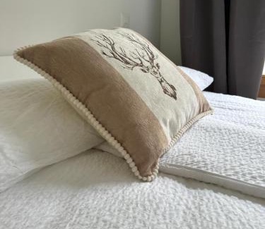 Flims Apartment | Bergstudio II I Flims I Laax I Ski I Caumasee