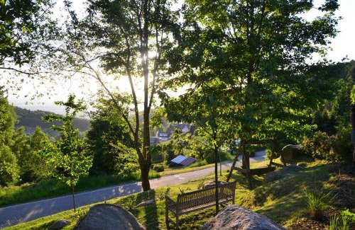Sasbachwalden Apartment | Child-Friendly Retreat at Bergweide 36 - Guest Rated: 9.8
