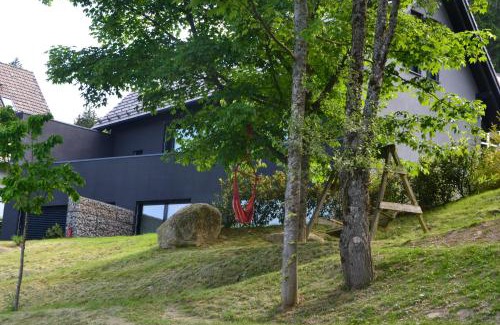 Sasbachwalden Apartment | Child-Friendly Retreat at Bergweide 36 - Guest Rated: 9.8