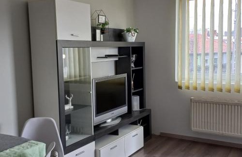 Pecs Apartment | Cozy Berik Apartman: Pet and Child Friendly Retreat