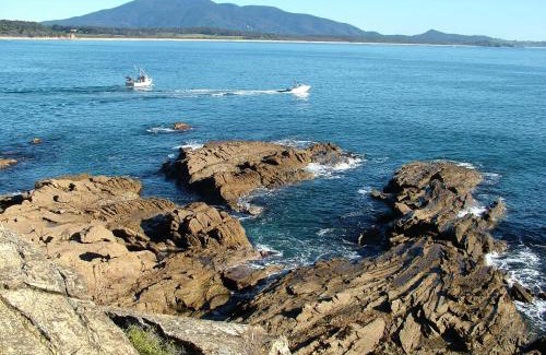 Bermagui Hotel | Family-Friendly Stay at Bermagui Motor Inn - 4-Star Comfort