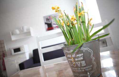 Griesenbruch Apartment | Discover Affordable Comfort at Bermuda Apartment