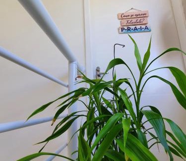 Jardim Rio da Praia Apartment | Pet-Friendly 2-Bedroom Apartment at Bertioga Praia do SESC