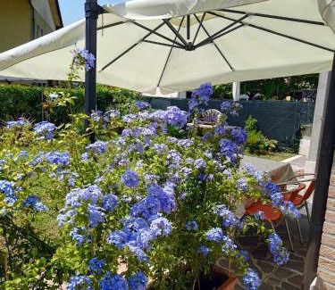 Cavallino-Treporti Apartment | Experience Bertos House: A Family-Friendly Retreat
