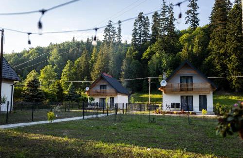 Rycerka Gorna House | Discover Beskid Loft House: A Pet-Friendly Mountain Retreat