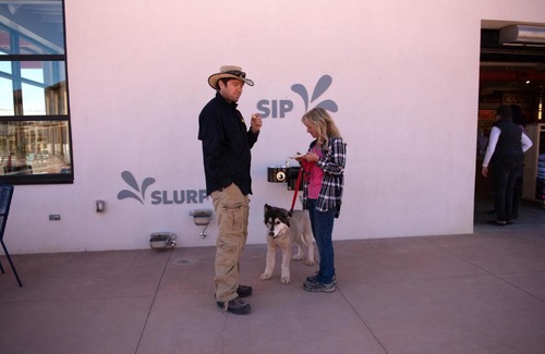Kanab Hotel | Top-Rated Best Friends Roadhouse with Pet-Friendly Amenities