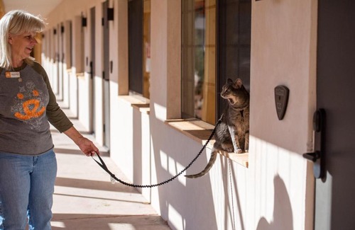 Kanab Hotel | Top-Rated Best Friends Roadhouse with Pet-Friendly Amenities