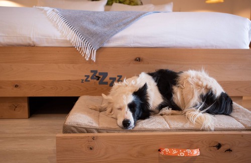 Kanab Hotel | Exceptional Stay at Best Friends Roadhouse and Mercantile