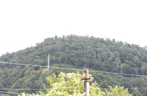 Kutaisi House | Cozy Guesthouse: Perfect for Families and Pets