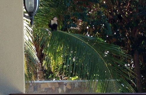 Herradura House | Prime Spot Overlooking Los Suenos Marina - Rated 9.8/10