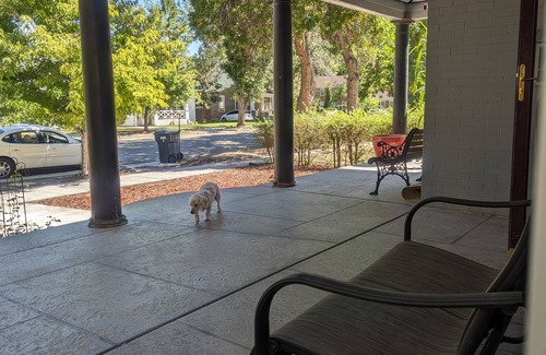 Northside Apartment | Top Rated Studio in Ideal Neighborhood - Pet Friendly & Central