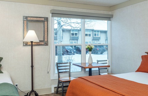 Telluride Hotel | Budget-Friendly Room in Telluride with Pet-Friendly Perks