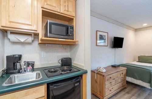 Telluride Hotel | Budget-Friendly Room in Telluride with Pet-Friendly Perks
