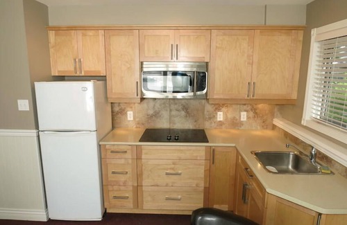 Silver Star Mountain Ski Chalet | Premier Ski-In/Ski-Out Suite with Spa & Pet-Friendly Amenities