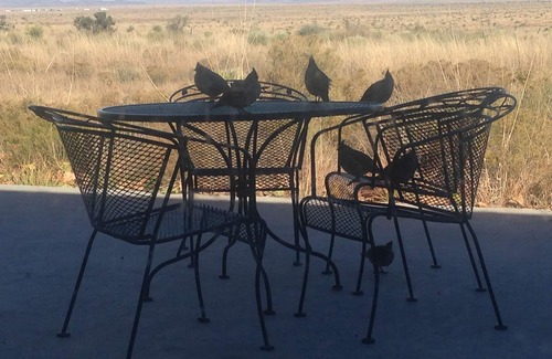 Marfa House | Unmatched View in Marfa, Steps from the Town Center!