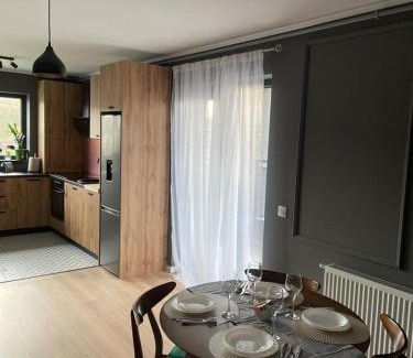 Tirgu Mures Apartment | Unforgettable Views at Best View Terrace - 9.9 Rated Stay