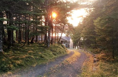 Brigus Junction House | Scenic Escape at Best View Wonderland - Cozy Cabin Retreat