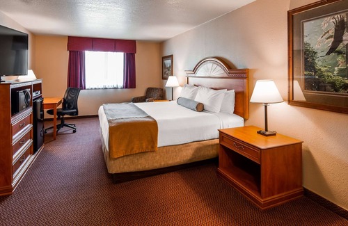 Homer Hotel | Discover Best Western Bidarka Inn with Pool and Spa