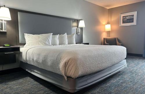 Carlisle Hotel | Pet-Friendly Getaway at Best Western Carlisle South