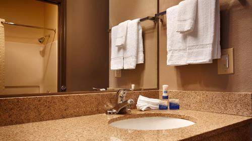 Carlisle Hotel | Discover Best Western Carlisle: Pet-Friendly with Pool