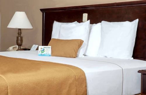 Torreon Hotel | Experience Comfort at Best Western Hotel Posada Del Rio