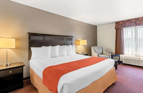 South Beloit Hotel | Pet-Friendly Retreat at Best Western Legacy Inn & Suites