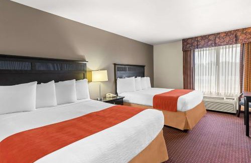 South Beloit Hotel | Pet-Friendly Retreat at Best Western Legacy Inn & Suites