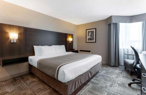 Halton Regional Municipality Hotel | Pet-Friendly Getaway at Best Western Milton with Breakfast
