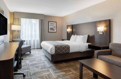 Halton Regional Municipality Hotel | Discover Best Western Milton: Family-Friendly Retreat