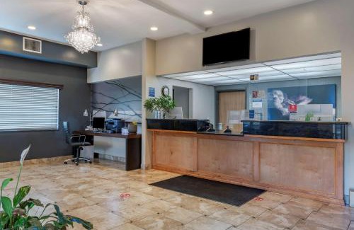 Newberg Hotel | Pet-Friendly Comfort at Best Western Newberg Inn