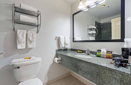 Westmont Hotel | Discover Best Western Oakbrook Inn with Spa & Family Options