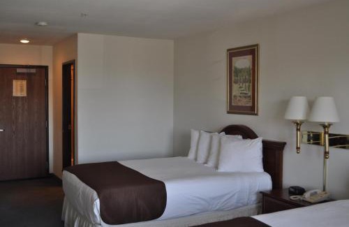 Pahrump Hotel | Pet Friendly Getaway at Best Western Pahrump Oasis