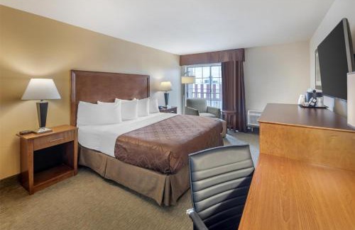 Schertz Hotel | Guest Favorite: Best Western Plus Atrium Inn with Pool