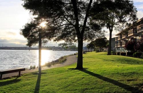 East Peralta Hotel | Oceanfront Comfort at Best Western Plus Bayside Hotel