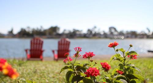 East Peralta Hotel | Oceanfront Comfort at Best Western Plus Bayside Hotel