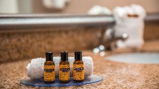 Bradenton Hotel | Family-Friendly Retreat at Best Western Plus Bradenton