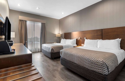 Saskatoon Hotel | Top-Rated Best Western Plus East Side with Pool & Spa