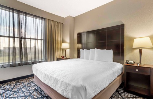 Southeast Houston Hotel | Top-Rated Comfort at Best Western Plus Hobby Airport Inn