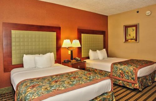 Roanoke Hotel | Pet-Friendly Retreat at BEST WESTERN PLUS Inn Valley View